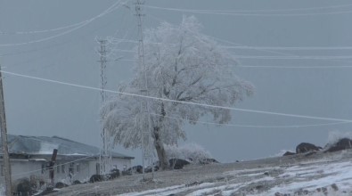 Kars'ta Ağaçlar Kırağı Tuttu