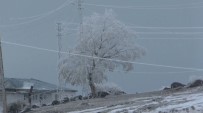 Kars'ta Ağaçlar Kırağı Tuttu Haberi