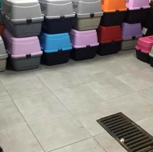 Şişli'de Baskın Yapılan Adreste 9'U Yavru 57 Kedi Bulundu