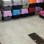 Şişli'de Baskın Yapılan Adreste 9'U Yavru 57 Kedi Bulundu