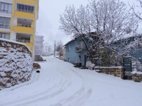 Tunceli'de Kar Yağışı Etkili Oldu, 132 Köy Yolu Kapandı Haberi