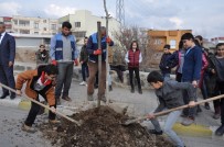 DAVUT SINANOĞLU - Cizre Belediyesi Yeşil Bir Gelecek İçin Çalışıyor
