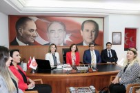 ÜLKÜ OCAKLARı - MHP'li Deniz Depboylu Açıklaması 'Genel Başkanımızın Sağlığı Çok İyi'