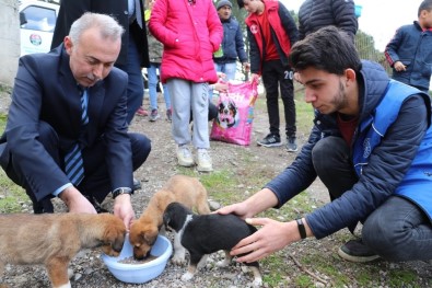 Belediye Başkanı Ve Gönüllüler Yavru Köpekleri Elleriyle Besledi