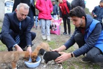 YAVRU KÖPEKLER - Belediye Başkanı Ve Gönüllüler Yavru Köpekleri Elleriyle Besledi