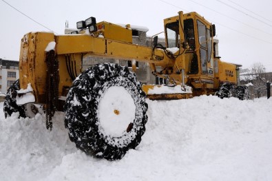 Van'da Karla Mücadele Çalışmaları Hız Kazandı