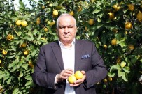 ÇİN - Başkan Tollu Açıklaması 'Limon Yiyelim, Hastalıklardan Ve Gripten Uzak Duralım'