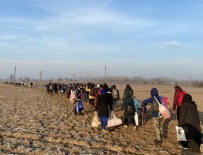 Bakan Soylu, son rakamı açıkladı