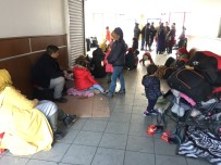 Göçmenlerin Otogarda Oluşturduğu 'Avrupa' Yoğunluğu Sürüyor