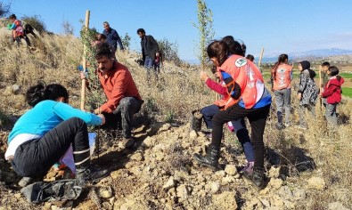 Kozan'a 'Şehitler Ormanı'