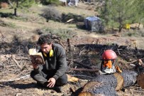 Orman İşçisi Ata'nın Okuma Aşkı