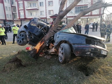 Refüje Çıkan Otomobil, Ağacı Yerinden Söktü Açıklaması 2 Ölü, 1 Ağır Yaralı