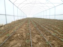 Manisalı Üreticilere Sera Desteği