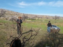 Silvan'da Bağ Budama Dönemi Başladı