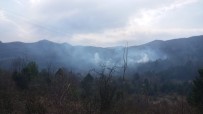 Türkeli'de Orman Yangını