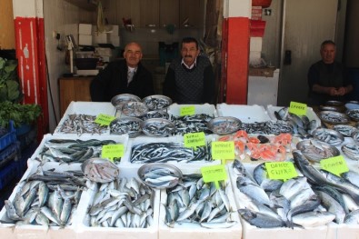 Hamdi Arslan Açıklaması 'Artık Tezgahlarda Çiftlik Balıkları Göreceğiz'