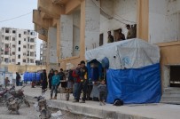 Stadyumda Yaşıyorlar