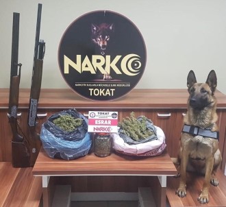 Tokat Ve Amasya'da Torbacı Operasyonu; 5 Tutuklama
