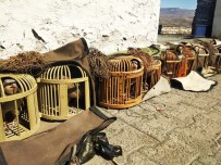 Kağızman'da Kaçak Avcılar Suçüstü Yakalandı