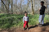 Sınırda Umutlu Bekleyiş Sürüyor