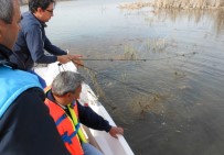 Eskişehir İç Sularında Av Yasağı Başlıyor