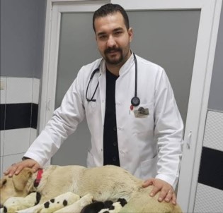 Veteriner Hekimleri Odası Başkanı Şahin, 'Evcil Hayvan Sahipleri Tedirgin Olmasın'