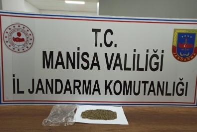 Manisa'da Jandarmadan Uyuşturucu Operasyonu