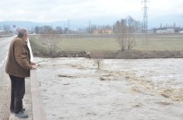 Karlar Eridi, Çaylar Coştu