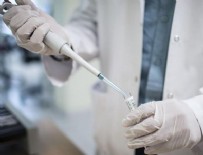 SEATTLE - Koronavirüsü aşısı ilk kez test edilecek