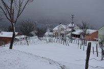 Sakarya Dikmen Yaylasında Kar Kalınlığı 25 Santimetreye Ulaştı