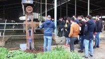 Üniversitenin Uygulama Çiftliğinde Üretilen Organik Ürünler Yok Satıyor