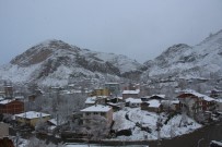 Oltu'ya 'Leylek Kar'ı