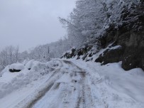 Trabzon'da Kardan Kapanan Tüm Mahalle Yolları Ulaşıma Açıldı Haberi