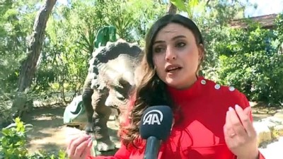 Antalya'da Dinozor Maketlerinin Yer Aldığı Dinopark Dezenfekte Edildi