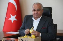 Başkan Tollu'dan 'Limon Tüketin' Çağrısı