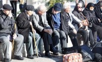 Bayburt'ta Yaşlı Nüfusun Toplam Nüfus İçindeki Oranı 11,1