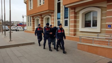 Kastamonu'da PKK/KCK Üyesi Gözaltına Alındı
