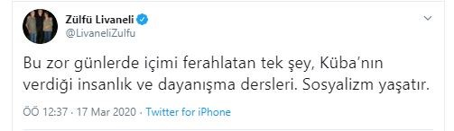 Zülfü Livaneli korona mı oldu?
