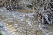 PAMUKKALE ÜNIVERSITESI - 17 gündür aranıyordu, ölü olarak bulundu