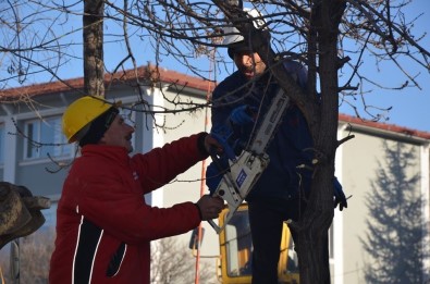 Emet'te Yeşil Alan Seferberliği