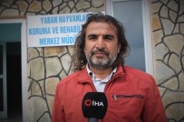 Lokman Aslan Açıklaması 'Türkiye, Tür Zengini Bir Ülkedir'