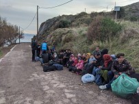 Yunanistan, Sığınma Başvurularını Bir Ay Askıya Aldı