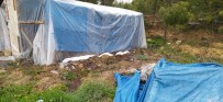 KARBONMONOKSİT - Çadırda Mangal Kömüründen Zehirlenerek Öldü