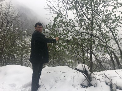 Fındık Üreticileri Zirai Dona Karşı Uyarıldı