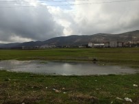 Gercüş'te Aşırı Yağış Ekili Alanları Vurdu