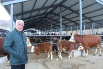 Oltu Canlı Hayvan Pazarı Kapatıldı