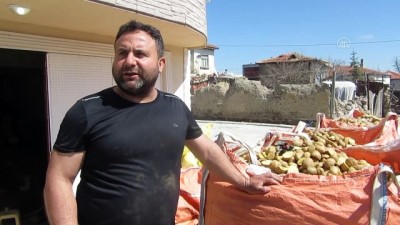 Afyonkarahisar'da Patates Ekim Sezonu Başladı