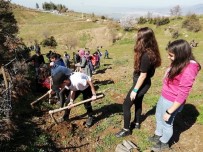 MEHMET ÖZDEMIR - Özdemir; 'Orman Ekosisteminden Alacağımız Çok Ders Var'
