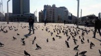 TAKSIM MEYDANı - Taksim Meydanı Güvercinlere Kaldı