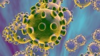 AVRUPA PARLAMENTOSU - AB Kurumlarında Korona Virüsten İlk Ölüm